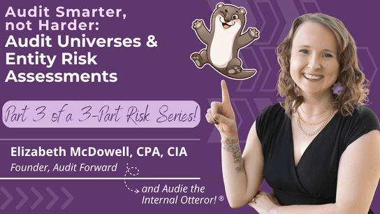 Audit Smarter, not Harder: Audit Universes & Entity Risk Assessments