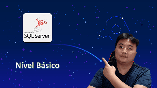 SQL Server para programadores/desenvolvedores