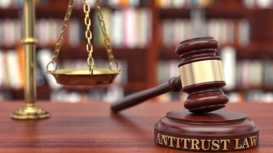 Antitrust Class Certification