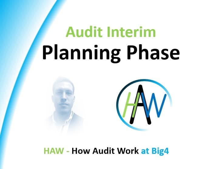 Audit Interim Planning Guide
