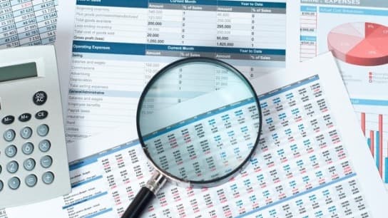 Analytical Procedures: Practice Applications and Standards