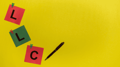 The LLC Survival Guide Master Class