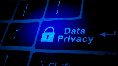 Data Privacy Laws