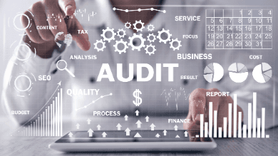 Global Internal Audit Standards 2024
