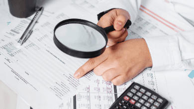 GIAS Domain III - The Concept of Governance