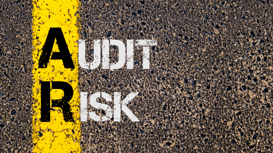 Audit Materiality And Risk Assessment