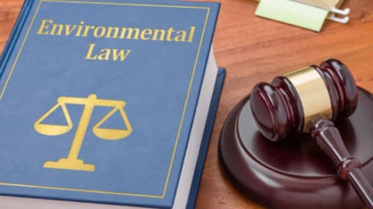 Environmental Regulation