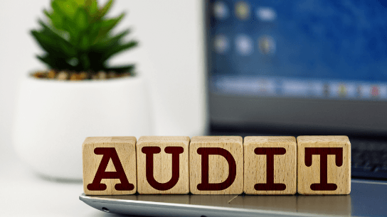 Internal Audit Standards - Managing Internal Audit Work