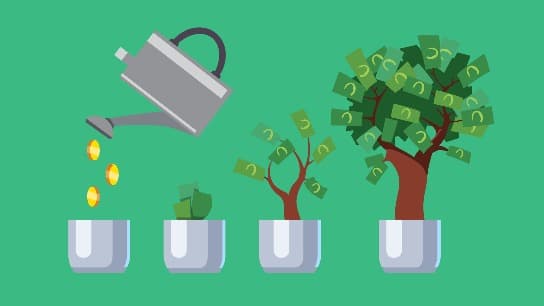 Lifepath Investing: Age Matters
