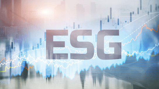 The Controller's Role in ESG